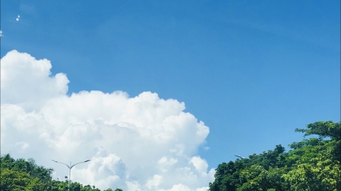 8月10日北京上海天气 北京有雷雨天上海持续高温