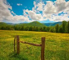 家用笔记本哪个牌子好？适合家用的笔记本电脑有哪些