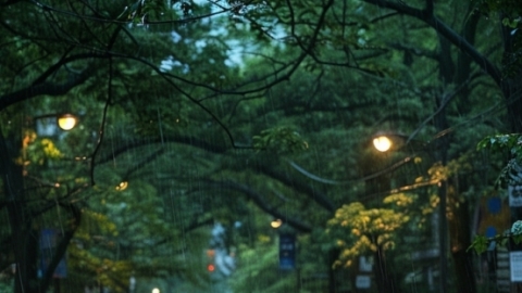 湖北阴雨天气模式开启 本周中后期湿冷感明显