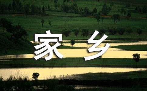 我的家乡宝鸡作文（通用11篇）