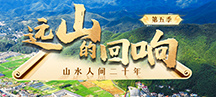 远山的回响第五季