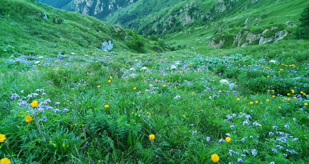张家口旅游景点大全（张家口旅游必去十大景点）