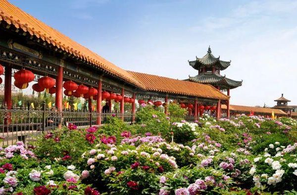 菏泽小景点（菏泽景点排名大全）-第1张图片-速度之风号