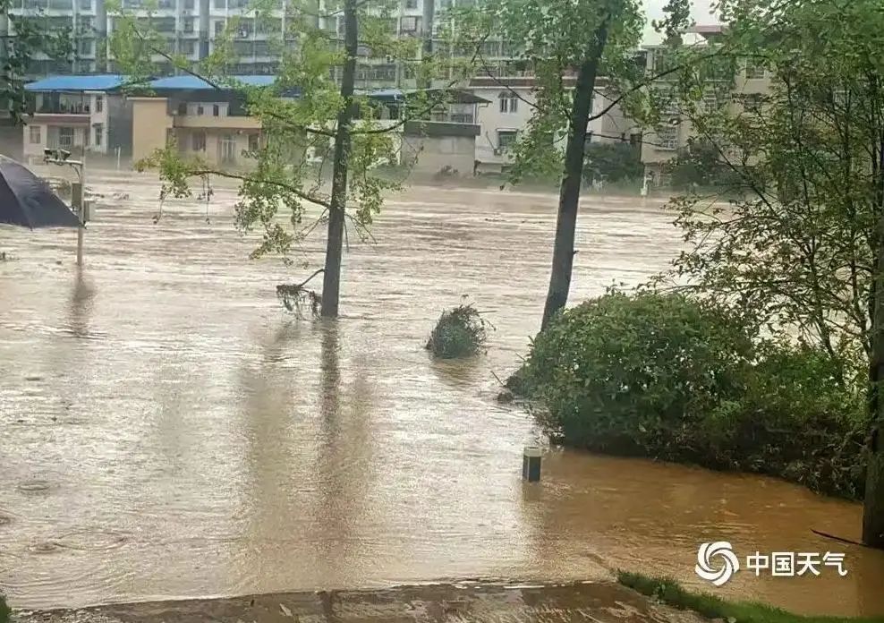 ▲龙山县遭遇特大暴雨 图据中国天气