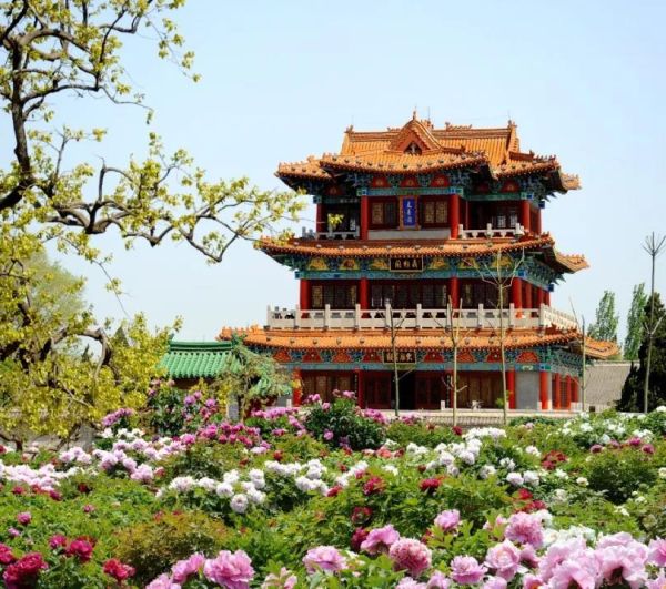 菏泽小景点（菏泽景点排名大全）-第2张图片-速度之风号
