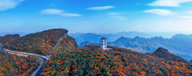 红色旺苍,中国茶乡