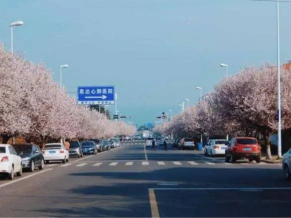 快收藏！地铁2号线来了！附22站吃喝玩乐全攻略