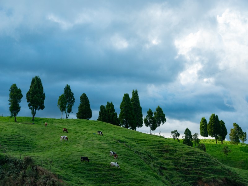 陇县的旅游景点以及故事（陇县的旅游景点以及故事简介）