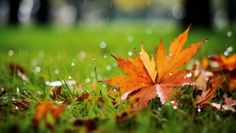 10月15日浙江江苏天气 浙江局地暴雨江苏降温降雨